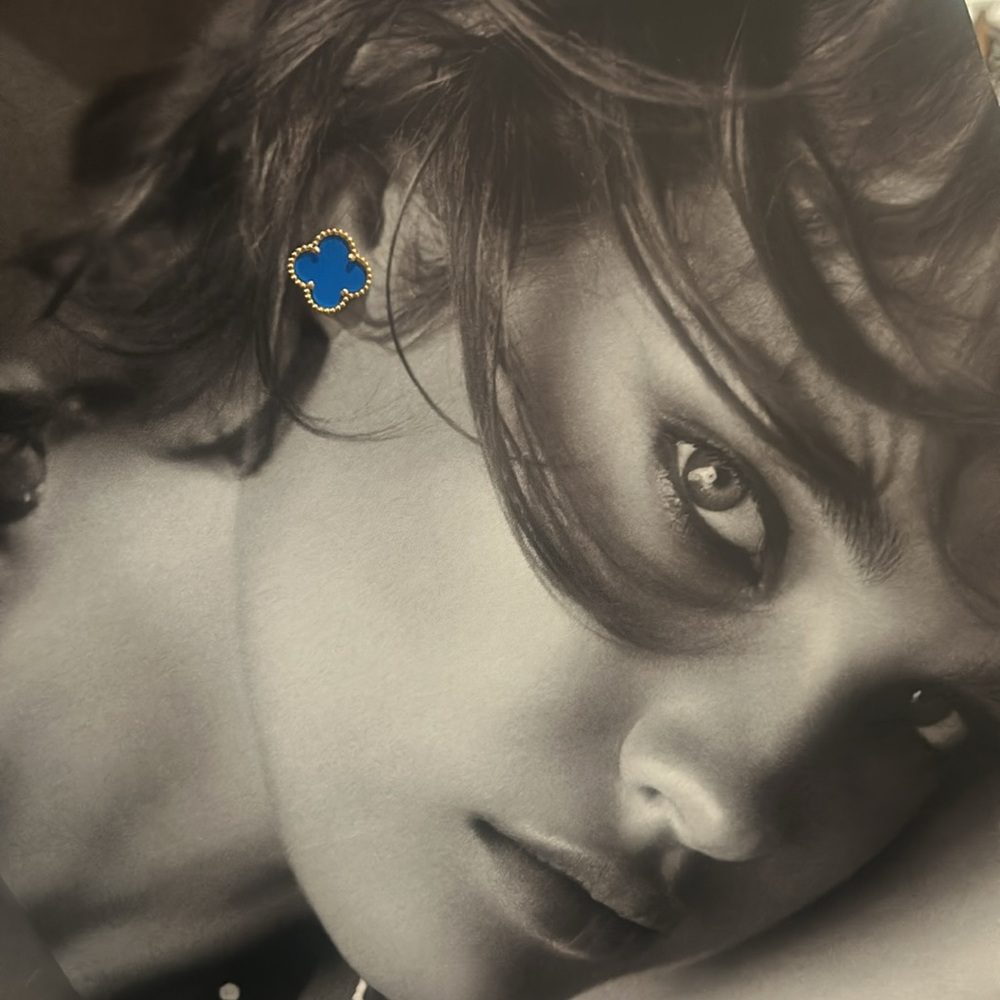 fashion earrings